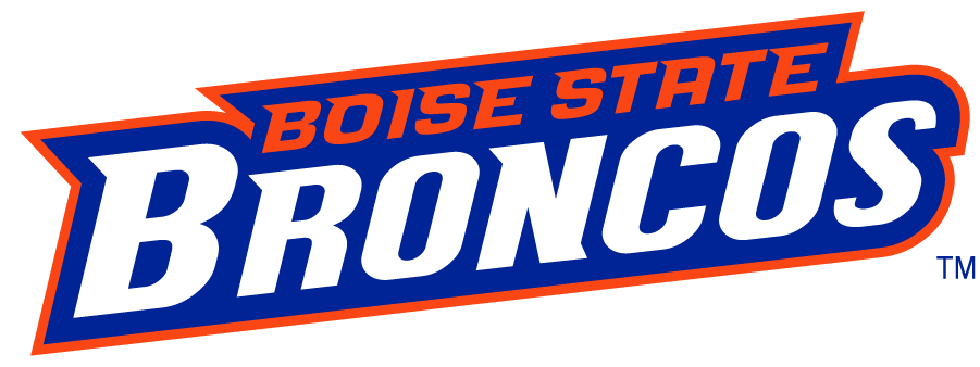 Boise State Broncos 2002-2012 Wordmark Logo v8 iron on transfers for T-shirts